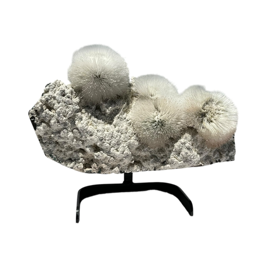 Scolecite on Mordenite