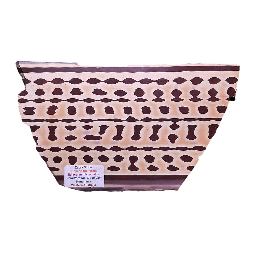 Zebra Stone