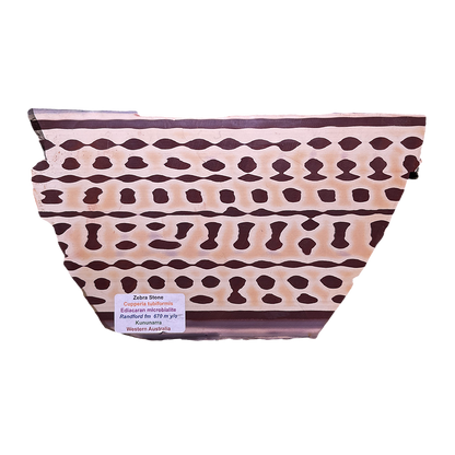 Zebra Stone