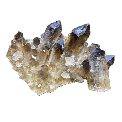 Smoky Quartz Cluster