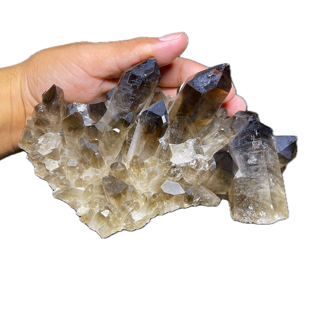 Smoky Quartz Cluster