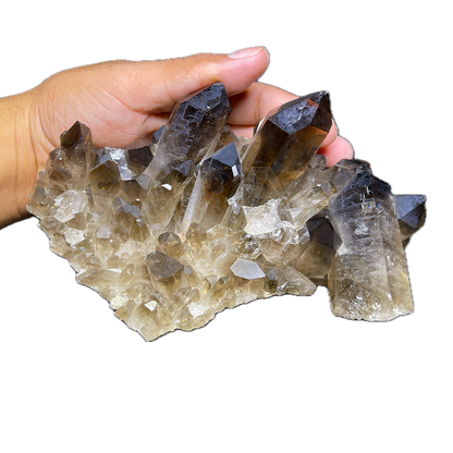 Smoky Quartz Cluster