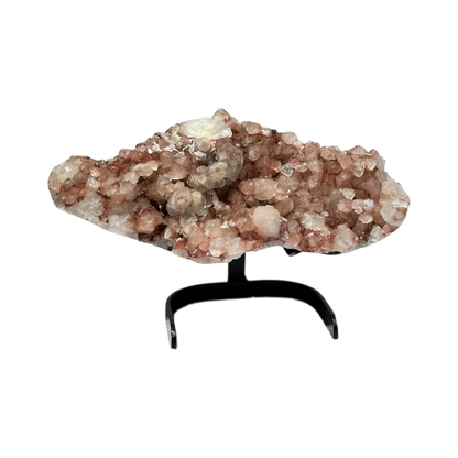 Pink Apophyllite