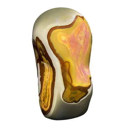 Polychrome Jasper