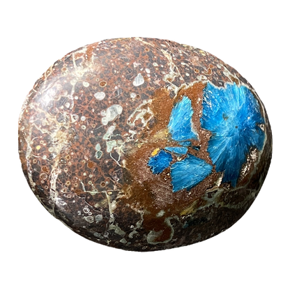 Cavansite Cab
