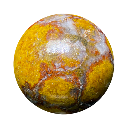Cobra Spotted Jasper