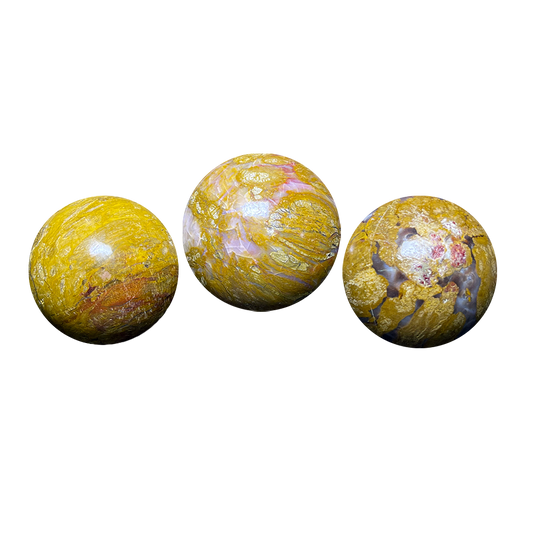 Petrified Wood Sphere (3pc/ Set)