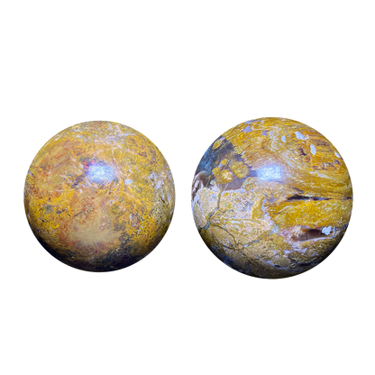 Petrified Wood Sphere (2pc/ Set)