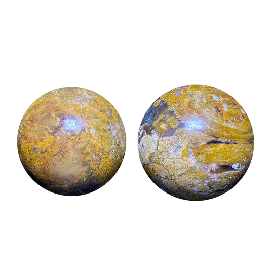 Petrified Wood Sphere (2pc/ Set)