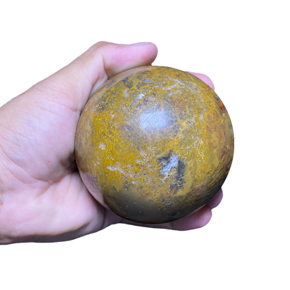 Petrified Wood Sphere (2pc/ Set)
