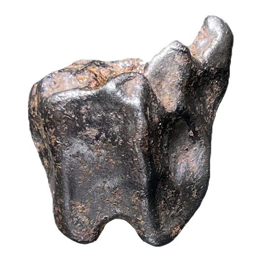 Shikote Iron Meteorite