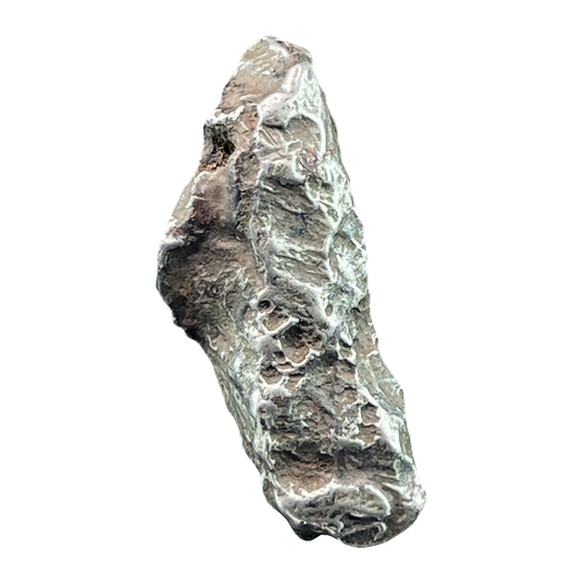 Campo Del Cielo Iron Meteorite