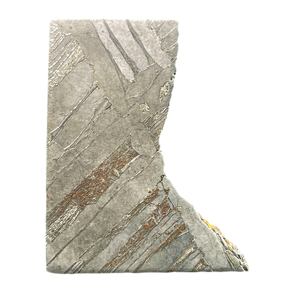 Muonionalusta Iron Meteorite