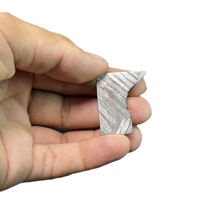 Muonionalusta Iron Meteorite