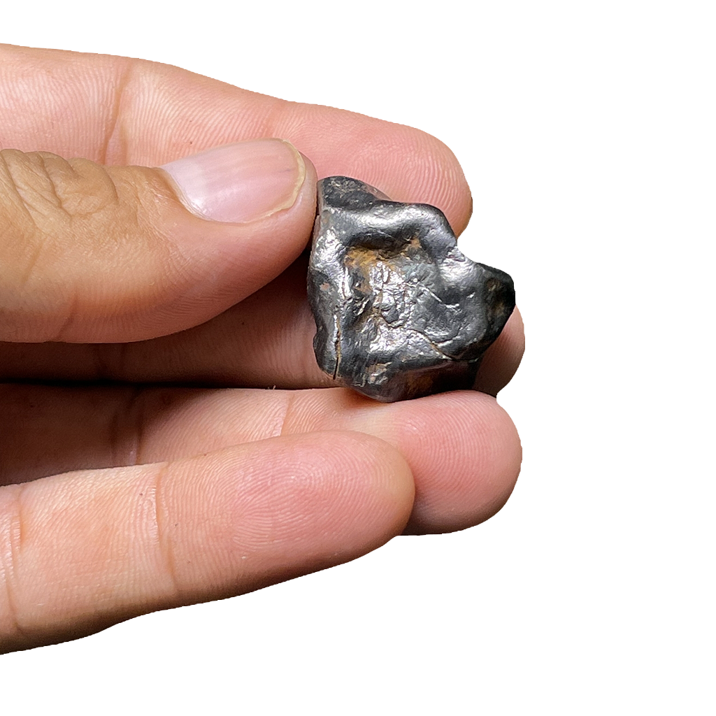 Shikote Iron Meteorite