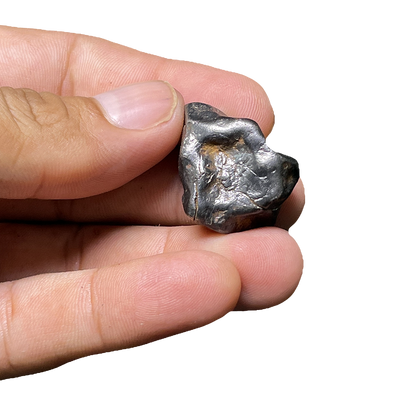 Shikote Iron Meteorite