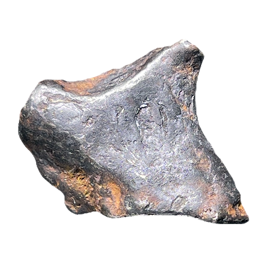 Shikote Iron Meteorite