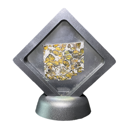 Springwater Pallasite Meteorite