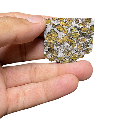 Springwater Pallasite Meteorite