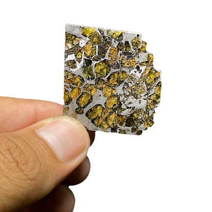 Springwater Pallasite Meteorite