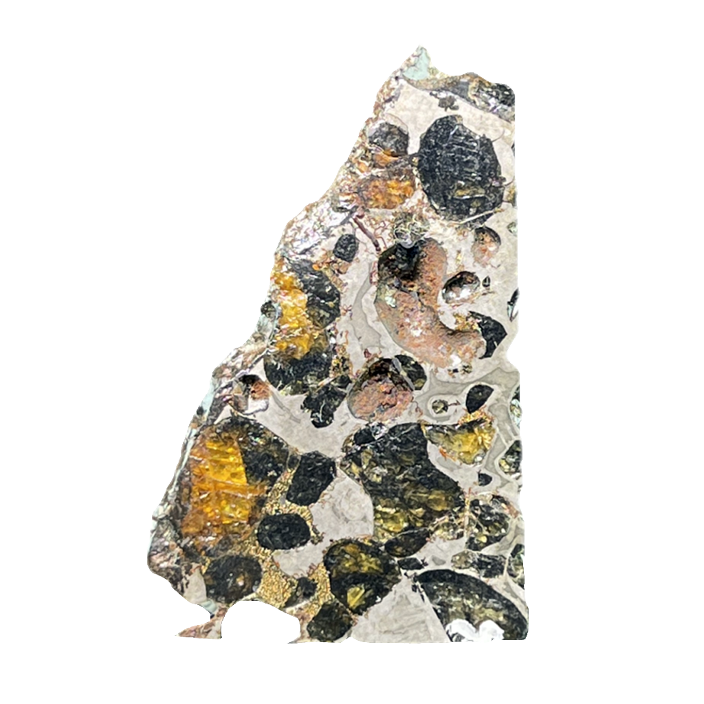Seymchan Pallasite Meteorite