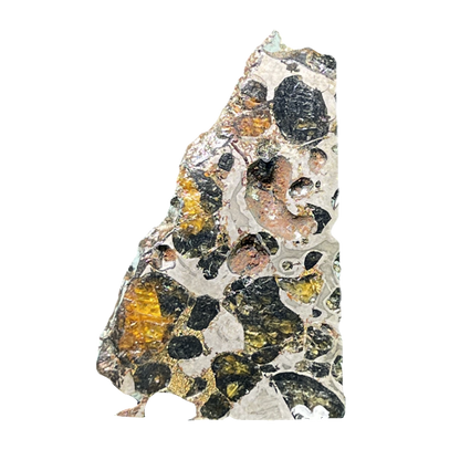 Seymchan Pallasite Meteorite