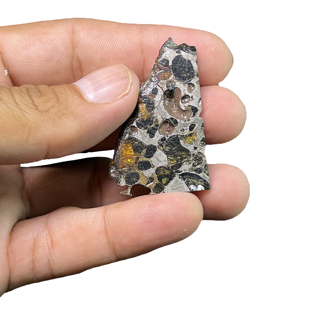 Seymchan Pallasite Meteorite