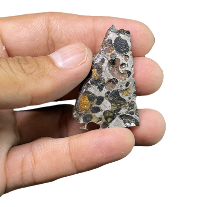Seymchan Pallasite Meteorite