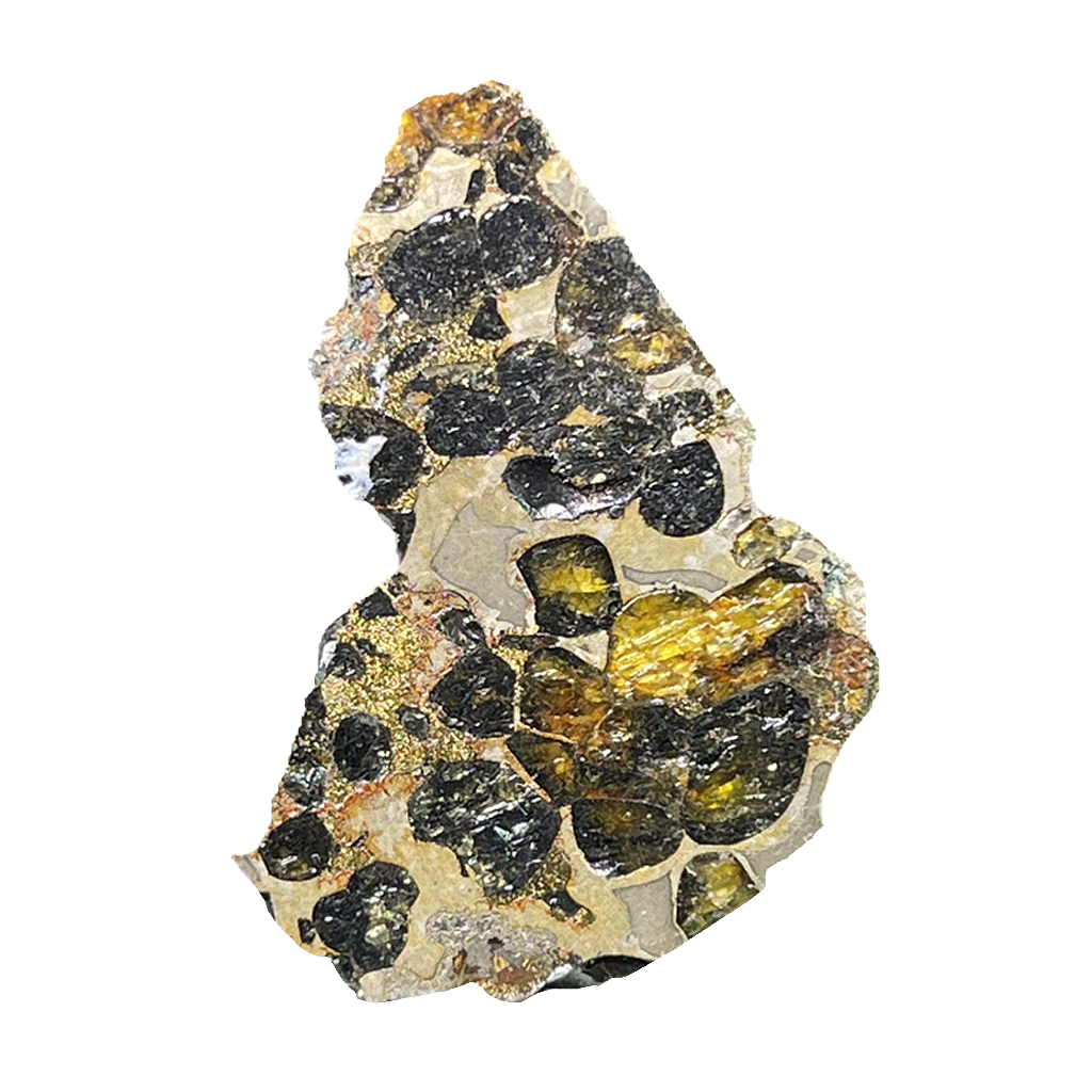 Seymchan Pallasite Meteorite