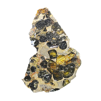 Seymchan Pallasite Meteorite