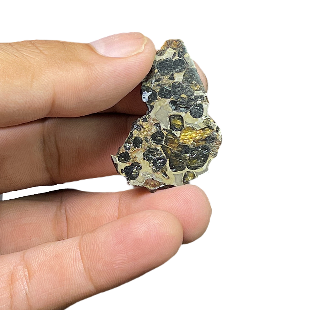 Seymchan Pallasite Meteorite