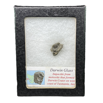 Darwin Glass