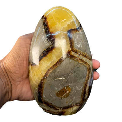 Septerian Agate