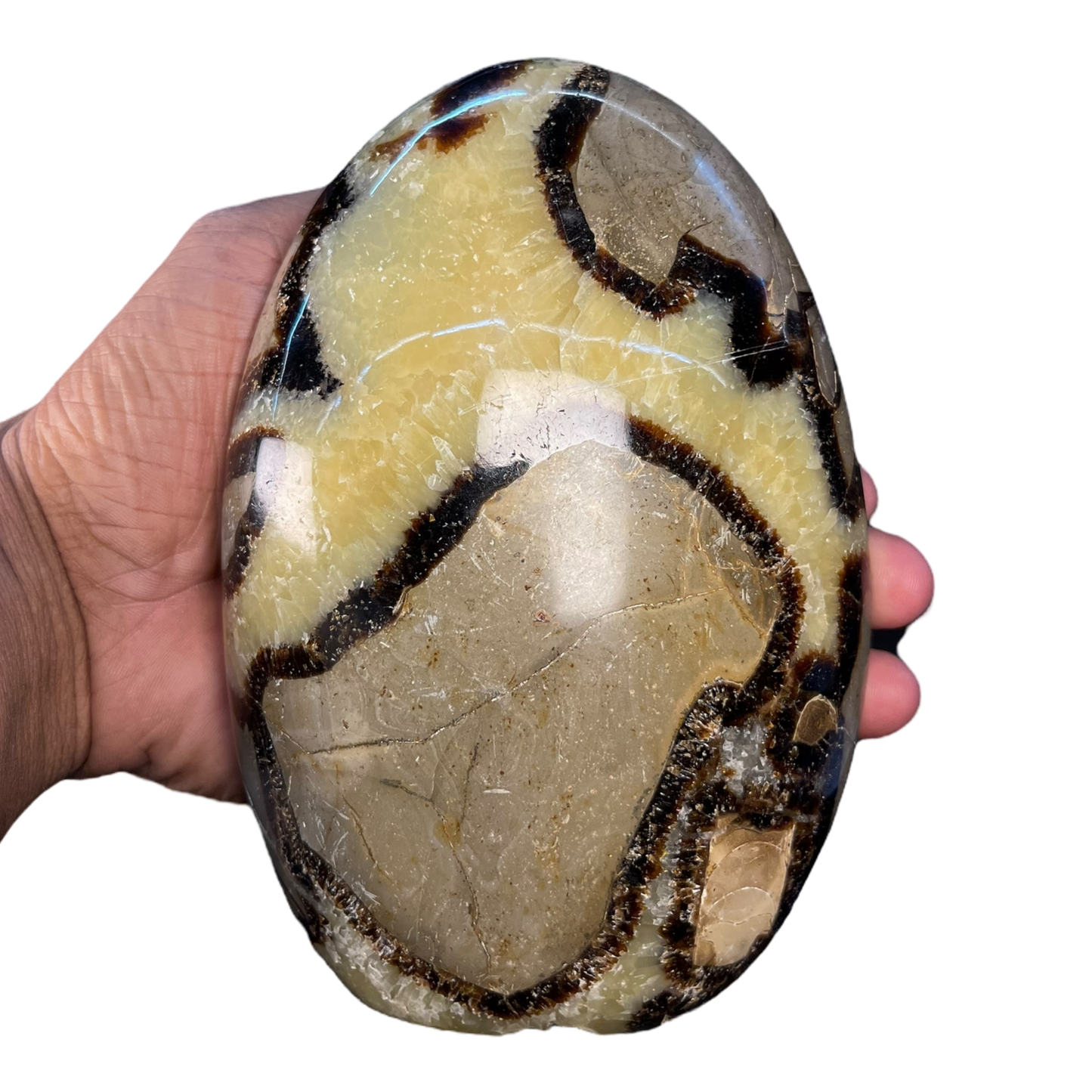 Septerian Agate