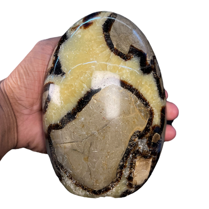 Septerian Agate