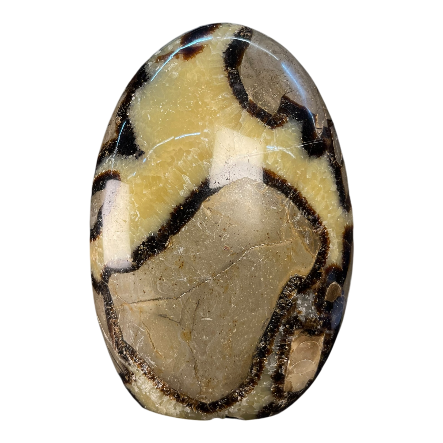 Septerian Agate