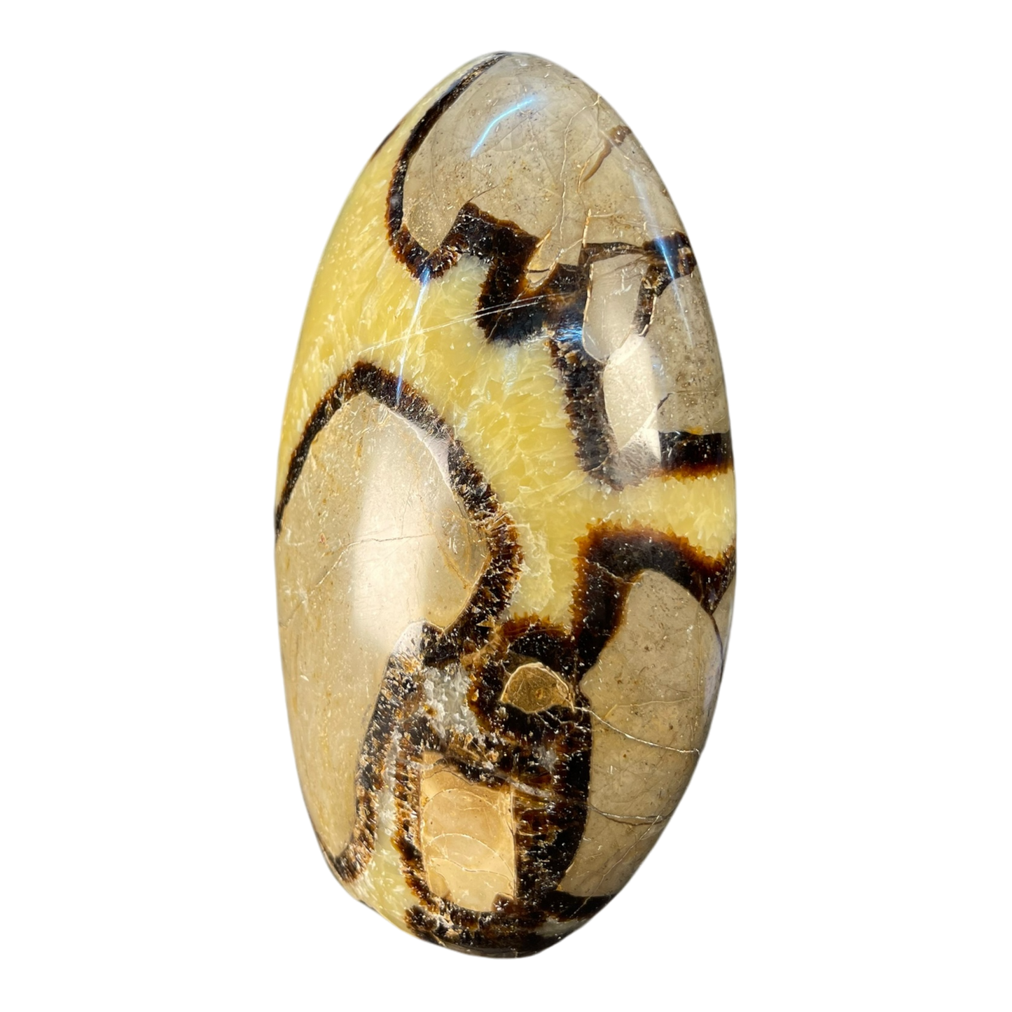 Septerian Agate