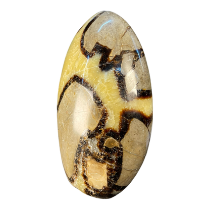 Septerian Agate