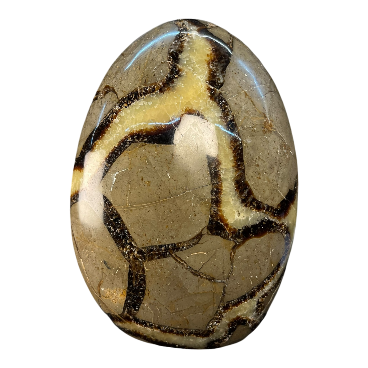 Septerian Agate