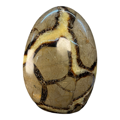 Septerian Agate