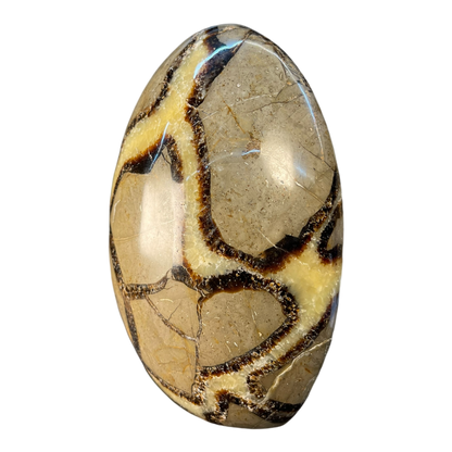 Septerian Agate