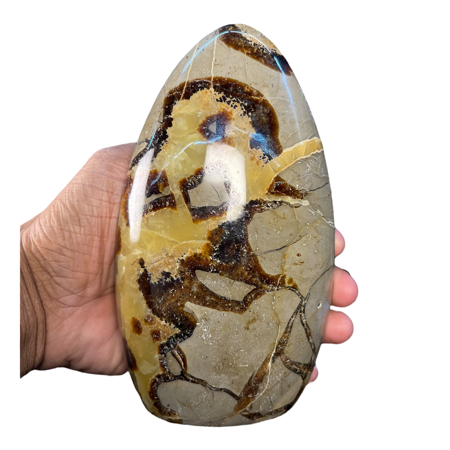 Septerian Agate