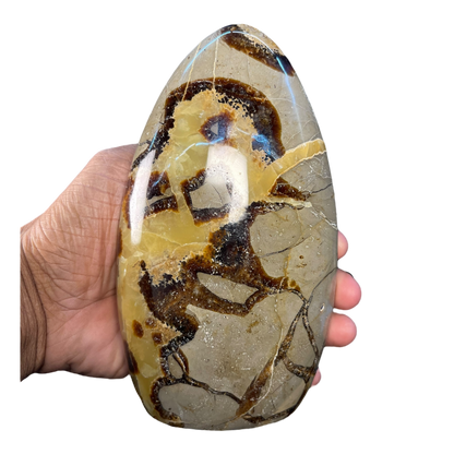 Septerian Agate