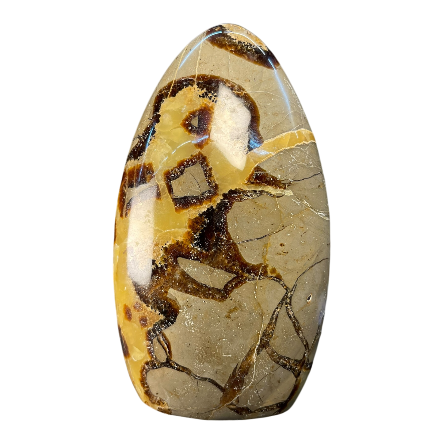 Septerian Agate