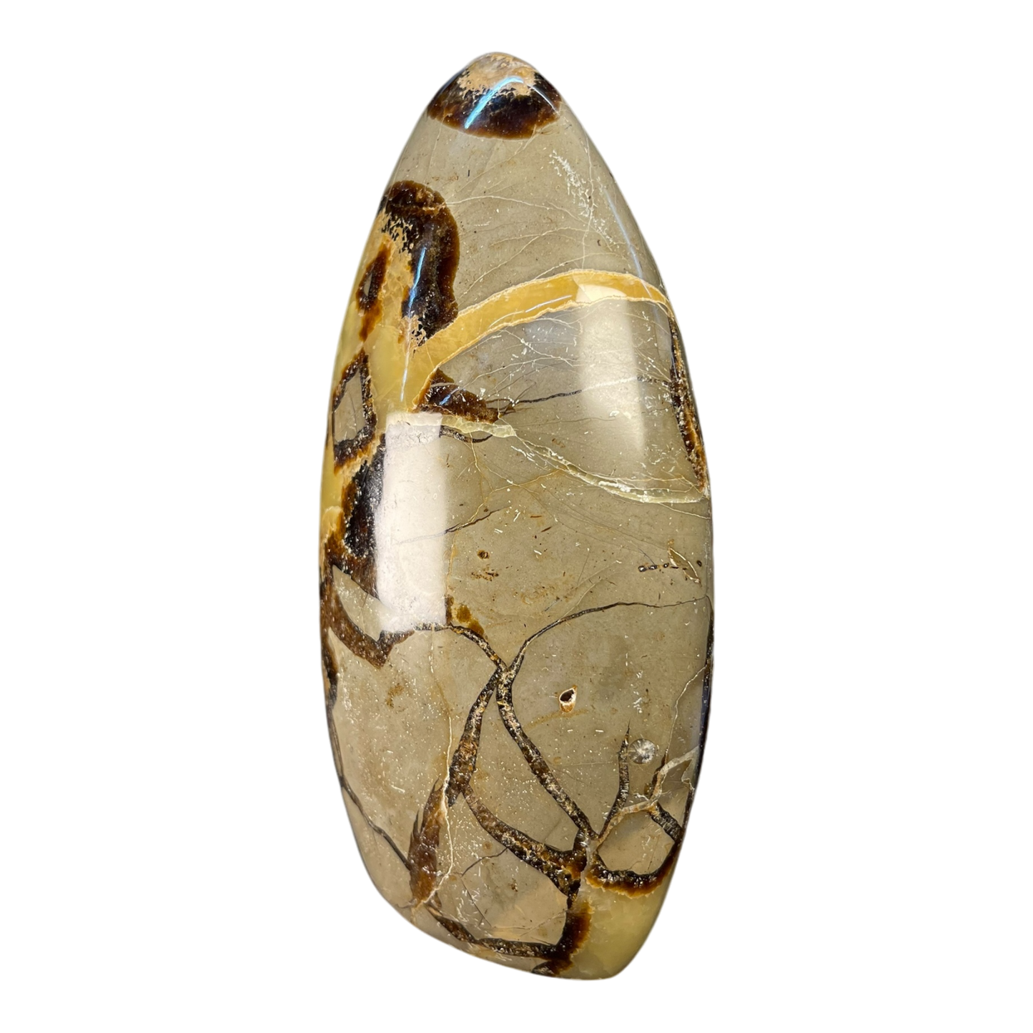 Septerian Agate