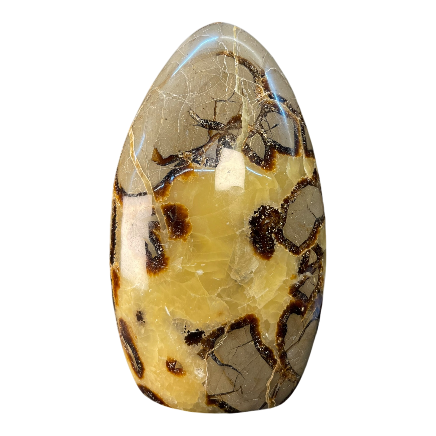 Septerian Agate