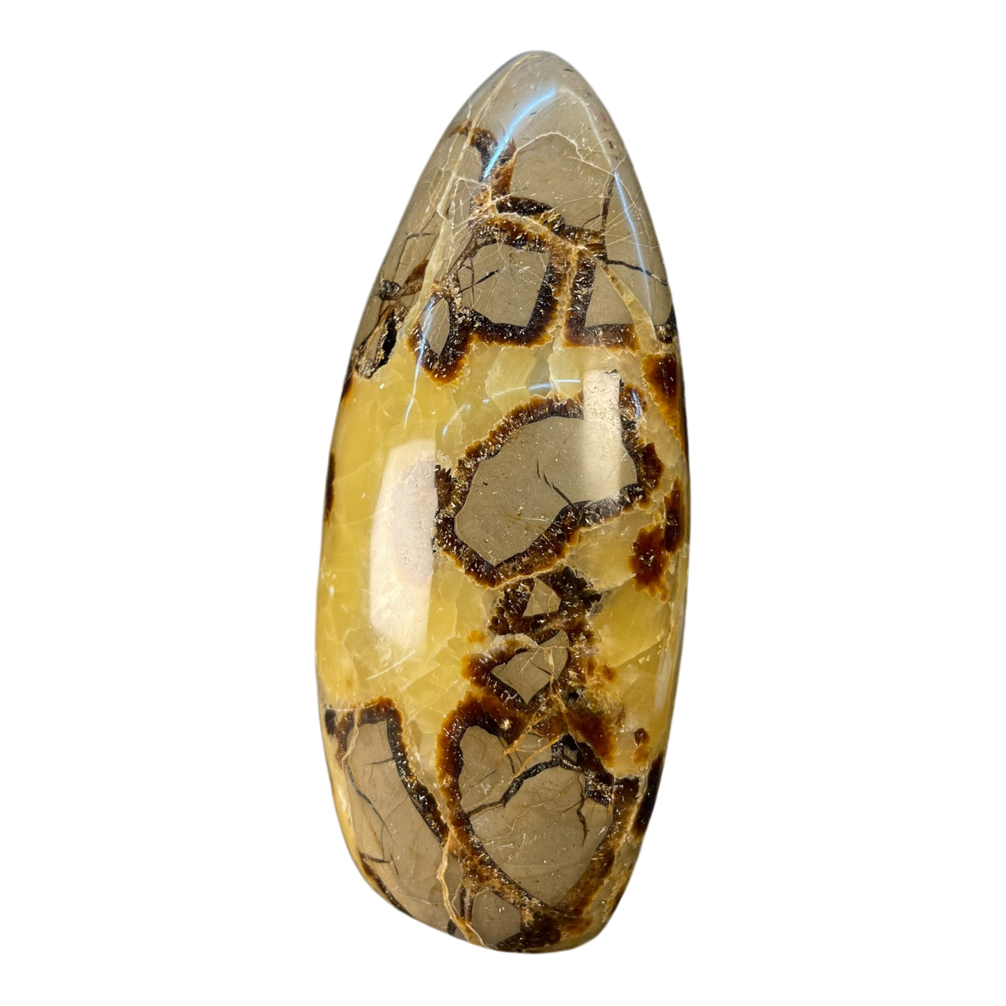 Septerian Agate
