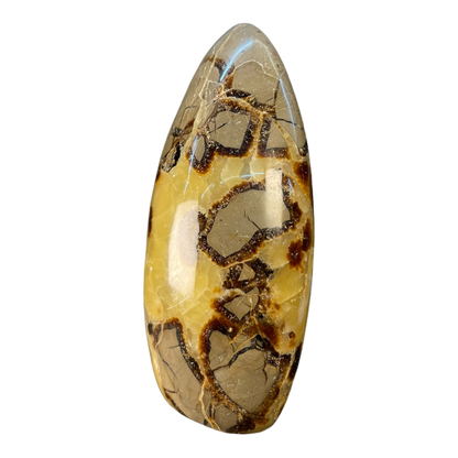Septerian Agate