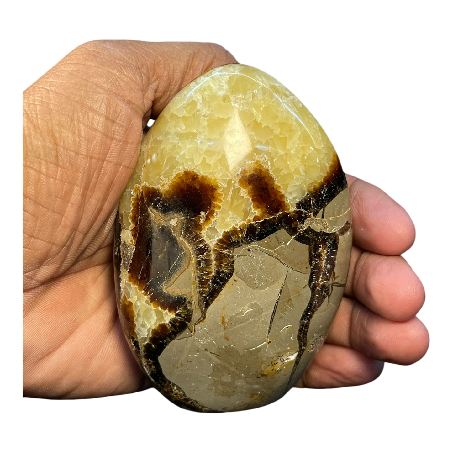 Septerian Agate