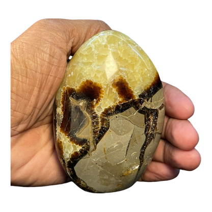 Septerian Agate